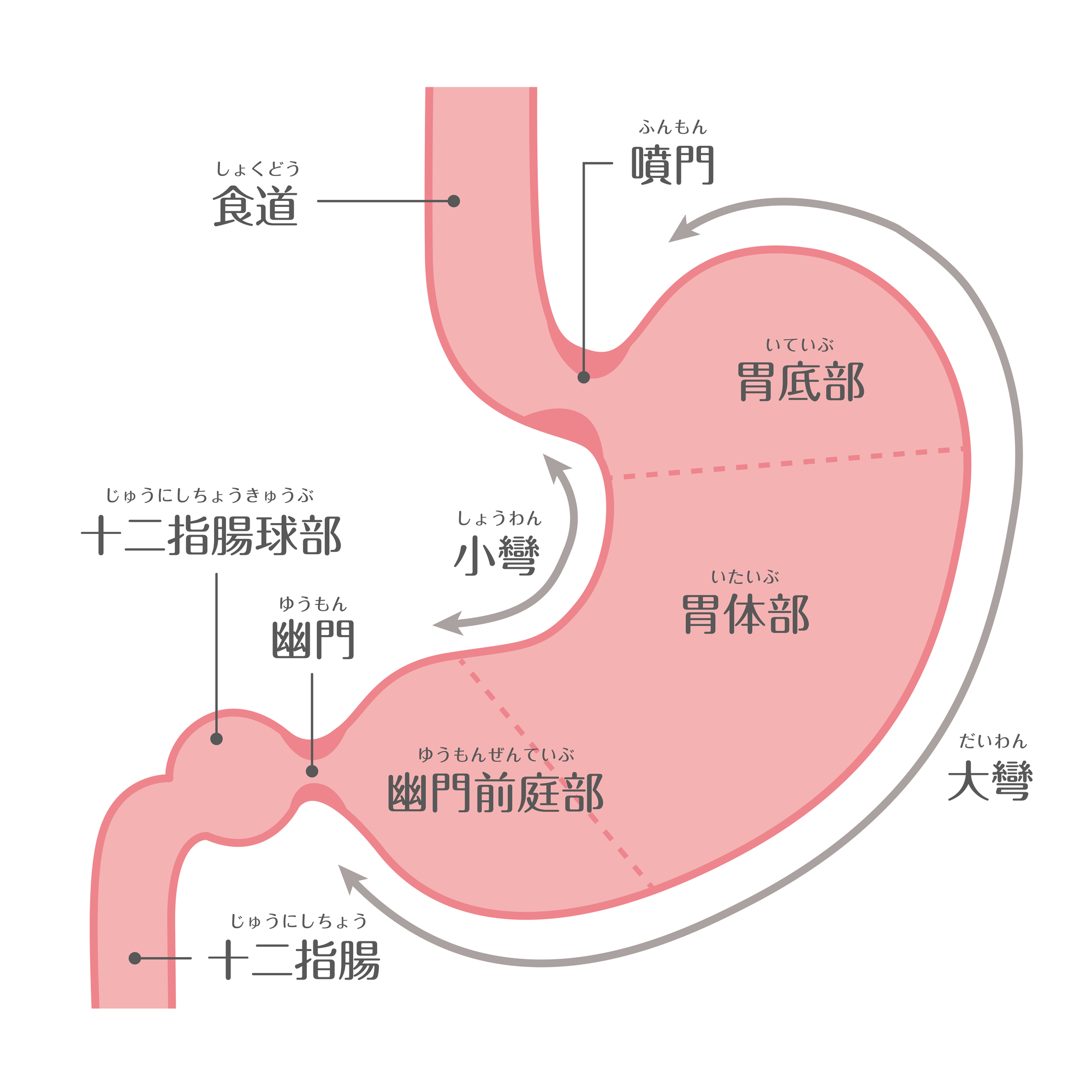 胃がんとは